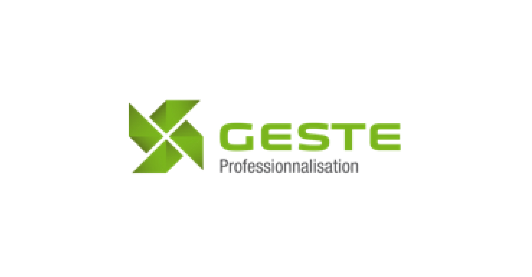 logo geiq geste